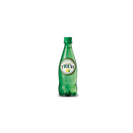 롯데)트레비레몬500ML